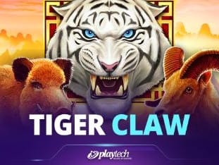 Tiger Claw game icon